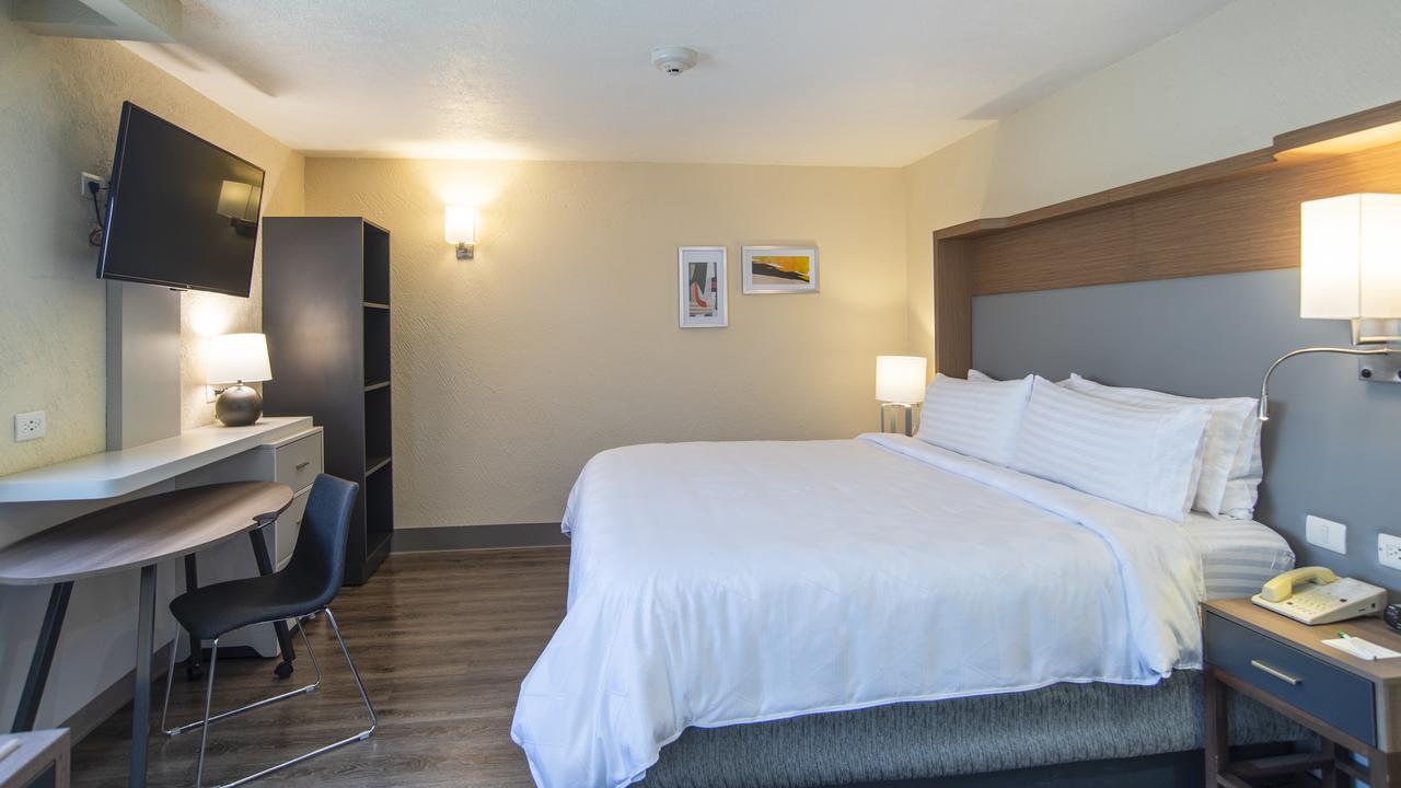 Holiday Inn Mexico Coyoacan מראה חיצוני תמונה